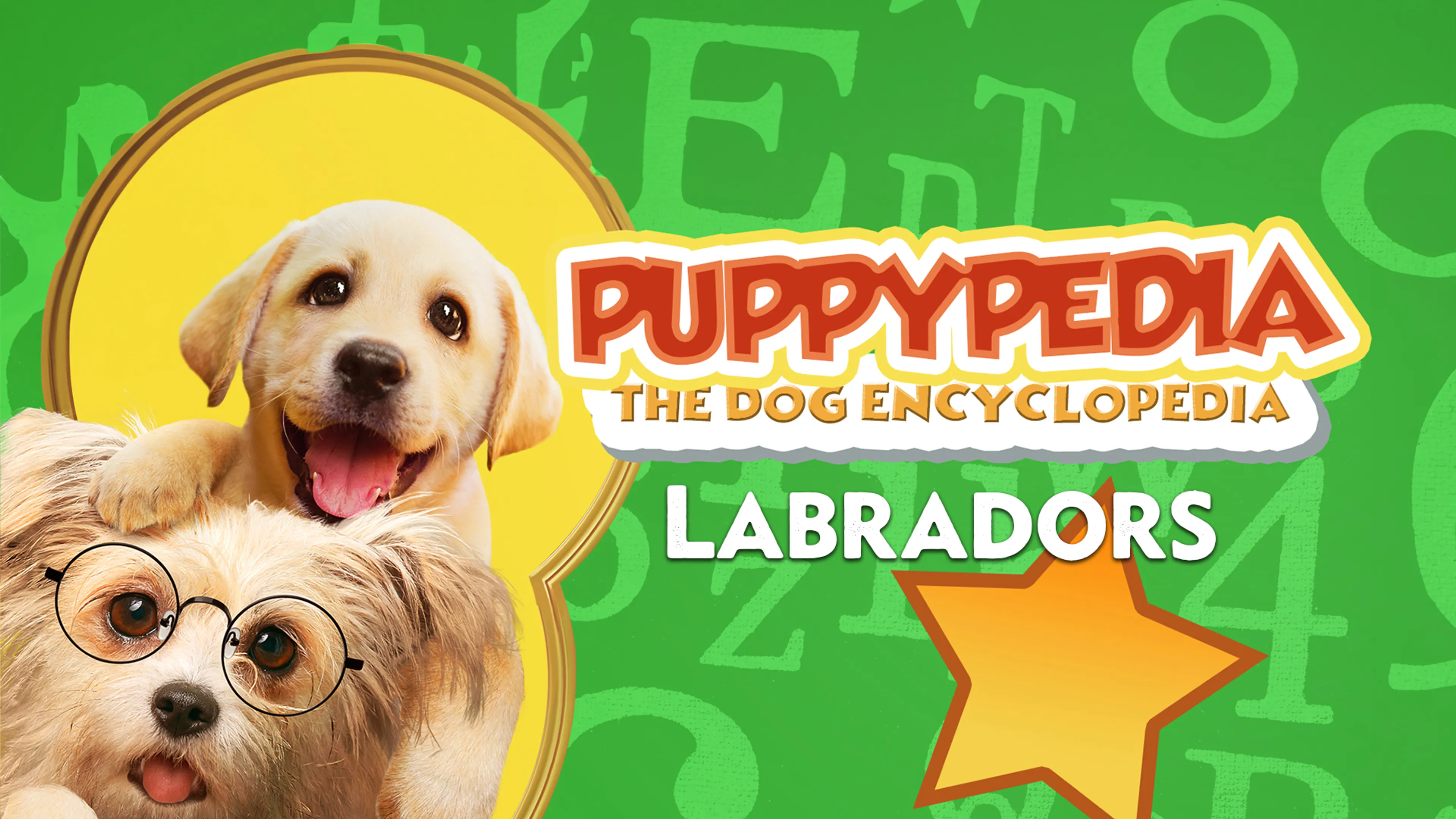 Puppy-Pedia The Dog Encyclopedia: Labradors poster